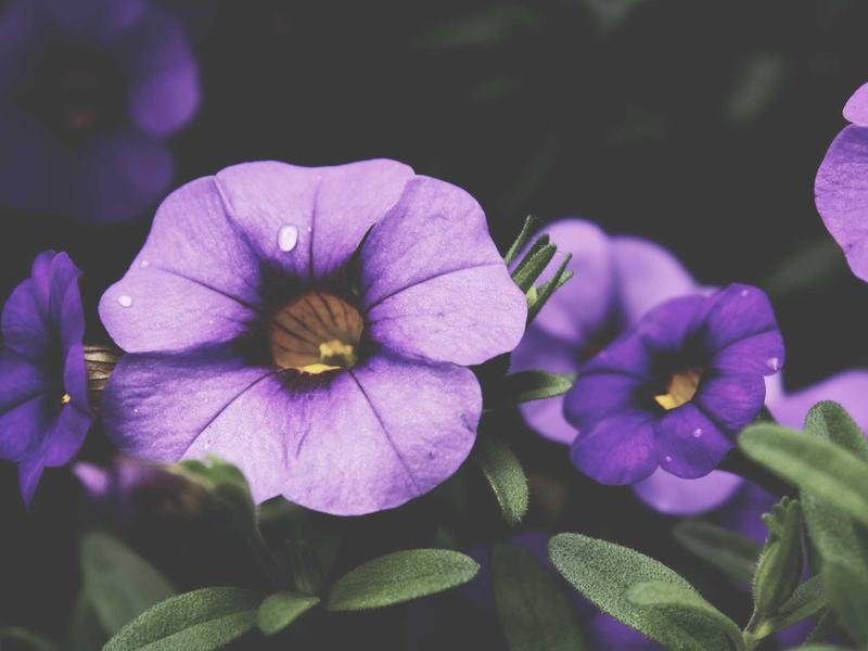 sudoku classic mode screenshot 6